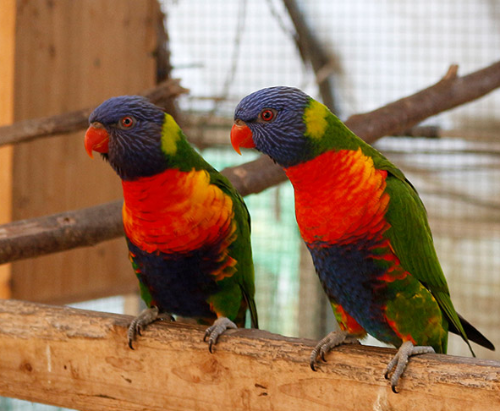 Ȯ�� �̹���