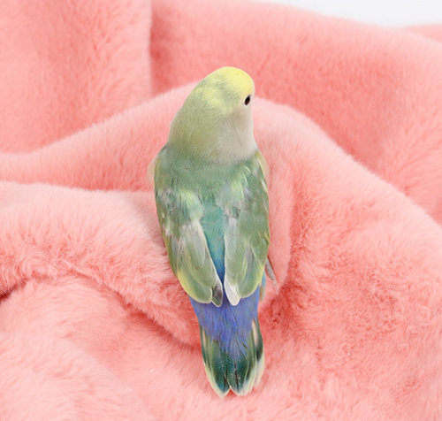 Ȯ�� �̹���